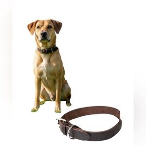Mighty Paw Leather Dog Collar M/L